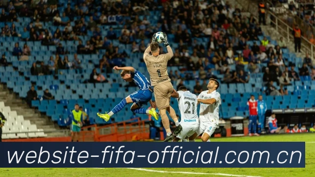 FIFA官方数据授权证书